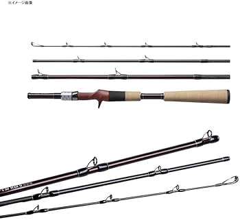 Amazon | フィッシュマン BC4 5.10H | FISHMAN | バスロッド